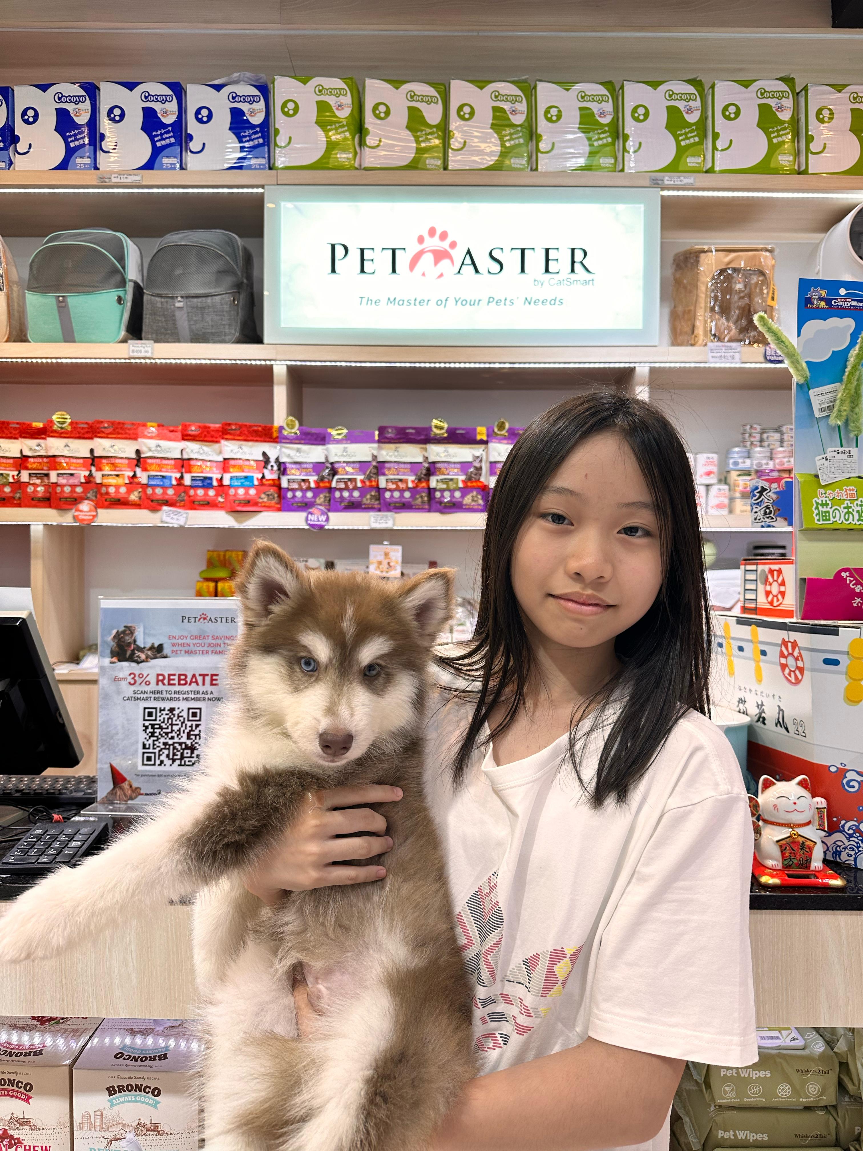 Photo of puppy from Pet Master